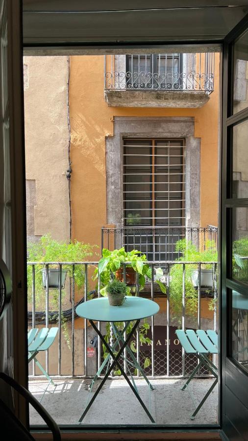 Apartamento Con Encanto Y Terraza En Barri Vell De Girona, El Cul De La Lleona Dış mekan fotoğraf