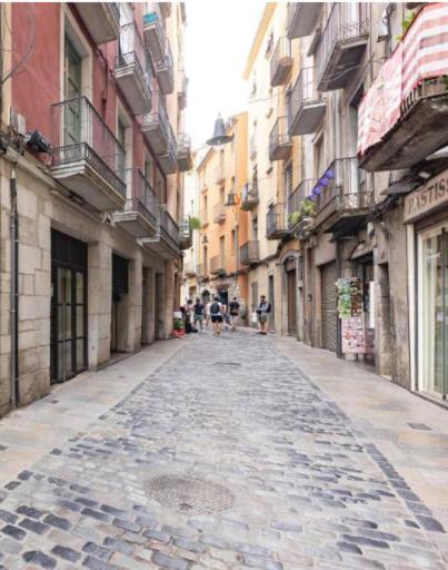 Apartamento Con Encanto Y Terraza En Barri Vell De Girona, El Cul De La Lleona Dış mekan fotoğraf